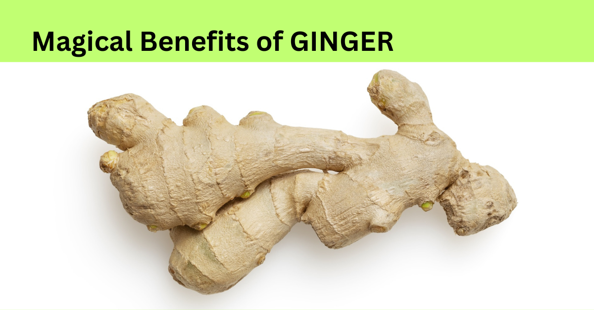 Healing Benefits of Superfood Kitchen Spice Ginger