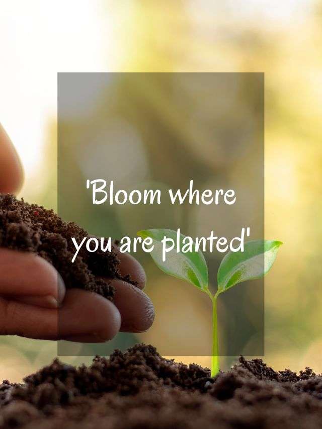 thursday motivational quotes