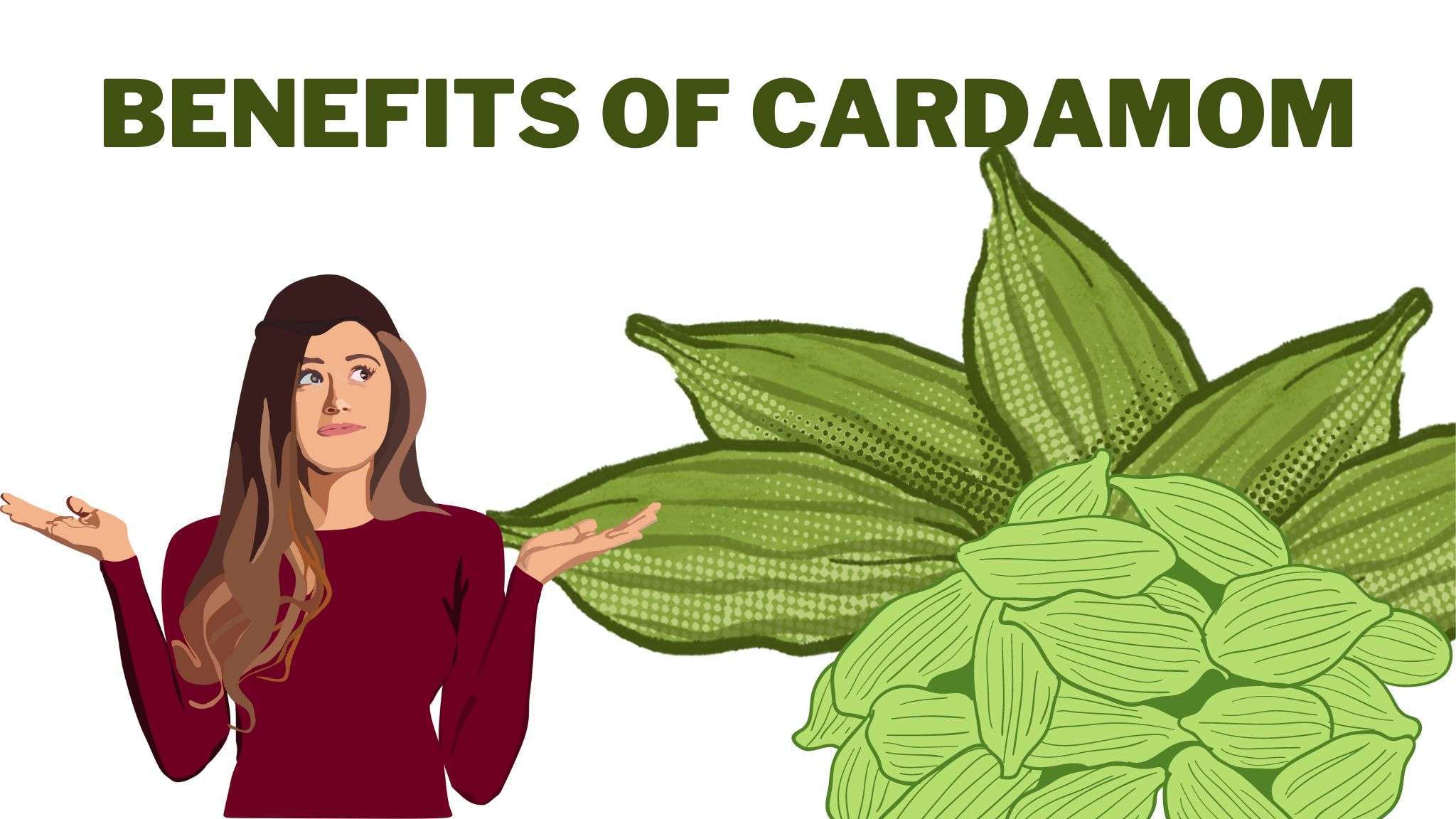 Health and Wellness of Cardamom