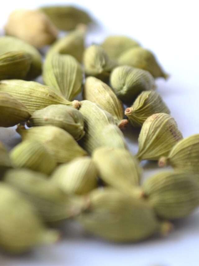 Health and Wellness of Cardamom