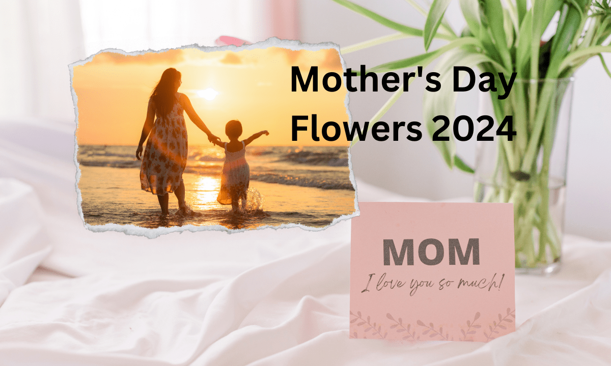 Mother's Day Flowers 2024
